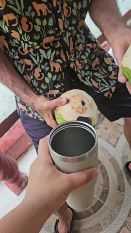Coconut water 💦🥥🌴 from my grandma backyard, what a blessing.  #dominicanrepublic🇩🇴 #coconut #water #familia #latorrelavega #santiagord🇩🇴🇩🇴 