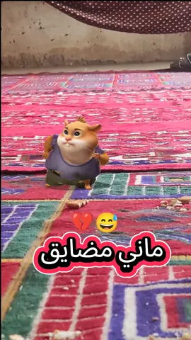 #ماني_مضايق_مبسوط_الريس_ورايق #لايك__explore___ #اعادة_النشر🔃اكسبلورر🤲🏻🥹 #اشعار_حزينه_موثره🥺💘 #اشعب_اصيني_مال_حال😹💔 