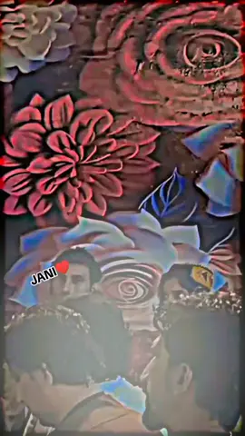 JANI 🔥🔥♥️♥️🌺🌺#foryou #foryoupage #jani_status_2 #viralvideo #growmyaccount #unfrezzmyaccount 
