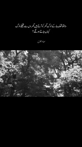 سنا تھا تھک ہار کے لوگ گھر کو آتے ہیں گھروں سے تھکے لوگ کہاں جاتے ہونگے ؟ #fyp #foryou #foryoupage 
