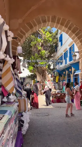 Don’t visit Essaouira if you are allergic 😂 #fyp #cats #morocco #essaouira 