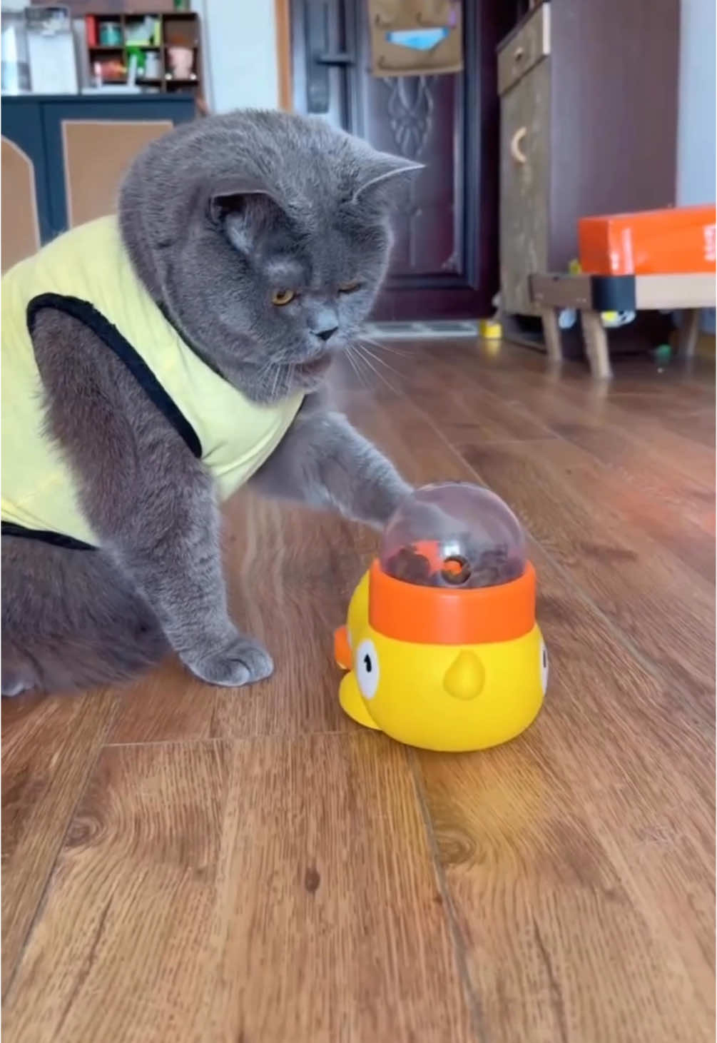 Turn snack time into game time! 🐾 Keep your pets mentally stimulated and physically active with our Interactive Pet Treat Dispenser—fun and rewards all in one! 🦴✨ — 🌐 ShopPetHaven.com  #PetTok #DogTok #CatTok #PetGadgets #TreatDispenser #InteractivePetToy #SmartPetProducts #PetParents #FurBabyFun #PetTips #PetEssentials #CatEssentials #DogEssentials #CatLover #DogLover #PetParent #ShopOnline #tiktokmademebuyit 