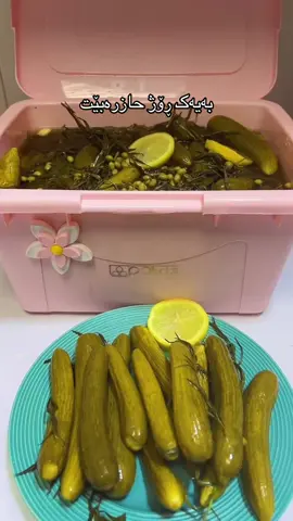 وەرنە ئینستاگرام پڕیەتی لە زانیاری بەسود
