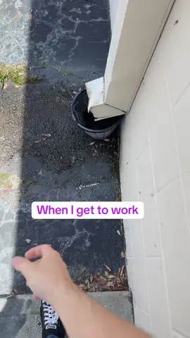 Collecting water, watering my plants, wax Cheeto, my mini fridge, how I cool a can fast, utility company trying to charge $600 #water #plants #deposit #SmallBusiness 
