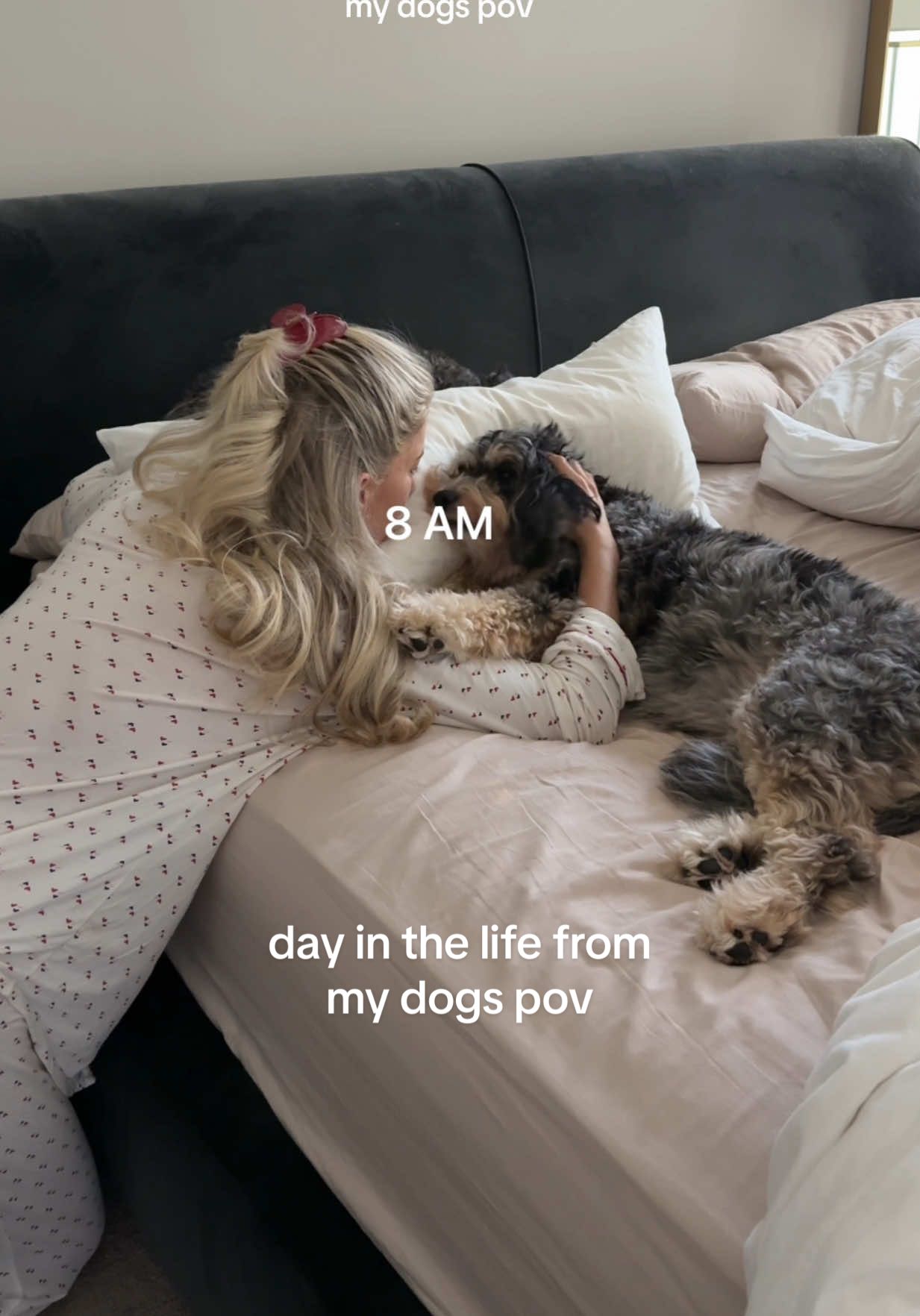 time-stamped day in the life of Rue and Riley — powered by long walks and even better food @Open Farm Pet 🥩🐾♥️ their food is made from ethical and sustainably sourced meats and non-GMO fruits and veggies, just how we like it around here! riley is a very picky eater and it brings me peace knowing she’ll always finish any meal from open farm.  you can shop their 30% off sale now until june 23rd 💌  #openfarmpartner #dayinthelife #dayinmylife #ditl #diml #Vlog #minivlog #dailyvlog #routine #dogmom #doglover #voiceover 
