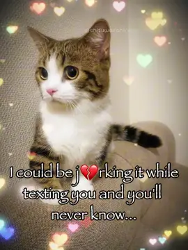 You’ll never know #cat #catsoftiktok #trending #relatable #rizz #fyp #fyppppppppppppppppppppppp 
