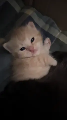 precious baby  (look at the other post)