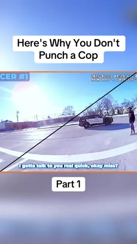 Here's Why You Don't Punch a Cop part 1#cops #copsoftiktok #police #policeofficer #bodycam #foryou #fyp 