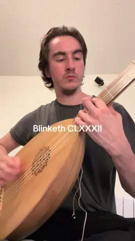 The slightest of matters #blink182 #allthesmallthings #lute #fyp 