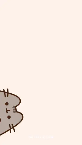 #pusheencat #cutecat #fyp #fypシ゚ #viralvideos #kawaii 