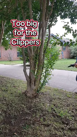 #dealsforyoudays  #tiktokshopsummerturnup  #electricchainsaw  #minichainsaw 