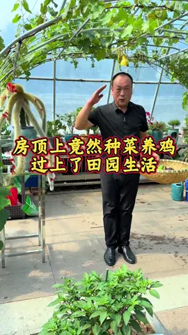 6.11/在农村过上了向往的生活 # 创作灵感 等孩子长大成人了，这样的养鸡种菜的田园生活，你们乐意过吗？ # 在家种菜 # 田园生活 # 耕耘计划 # 房顶菜园#内容来源于网络 