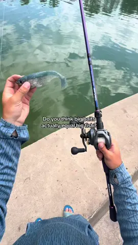 Thoughts? #fishing #fishtok #fup #foryou #fishinglife #fishingtiktoks 