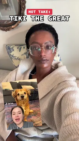 At the end of the day @Isabel Klee should be celebrated for the work she does and the deep care she has for every animal she fosters. To imply that she didn’t show him the most intentional care in tiki’s 45 days with her is just patently false. #popculture #fosterdog #adoptdontshop 