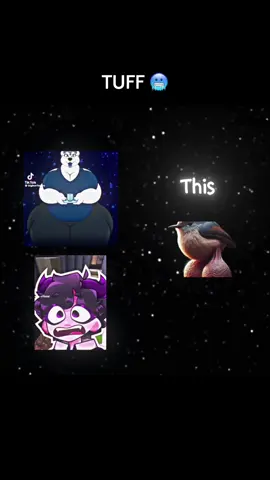 #CapCut 
