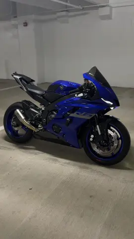 SC PROJECT YAMAHA R6 #yamaha #r6 #scproject #exhaust #viral #loud #moto #fyp #foryou 