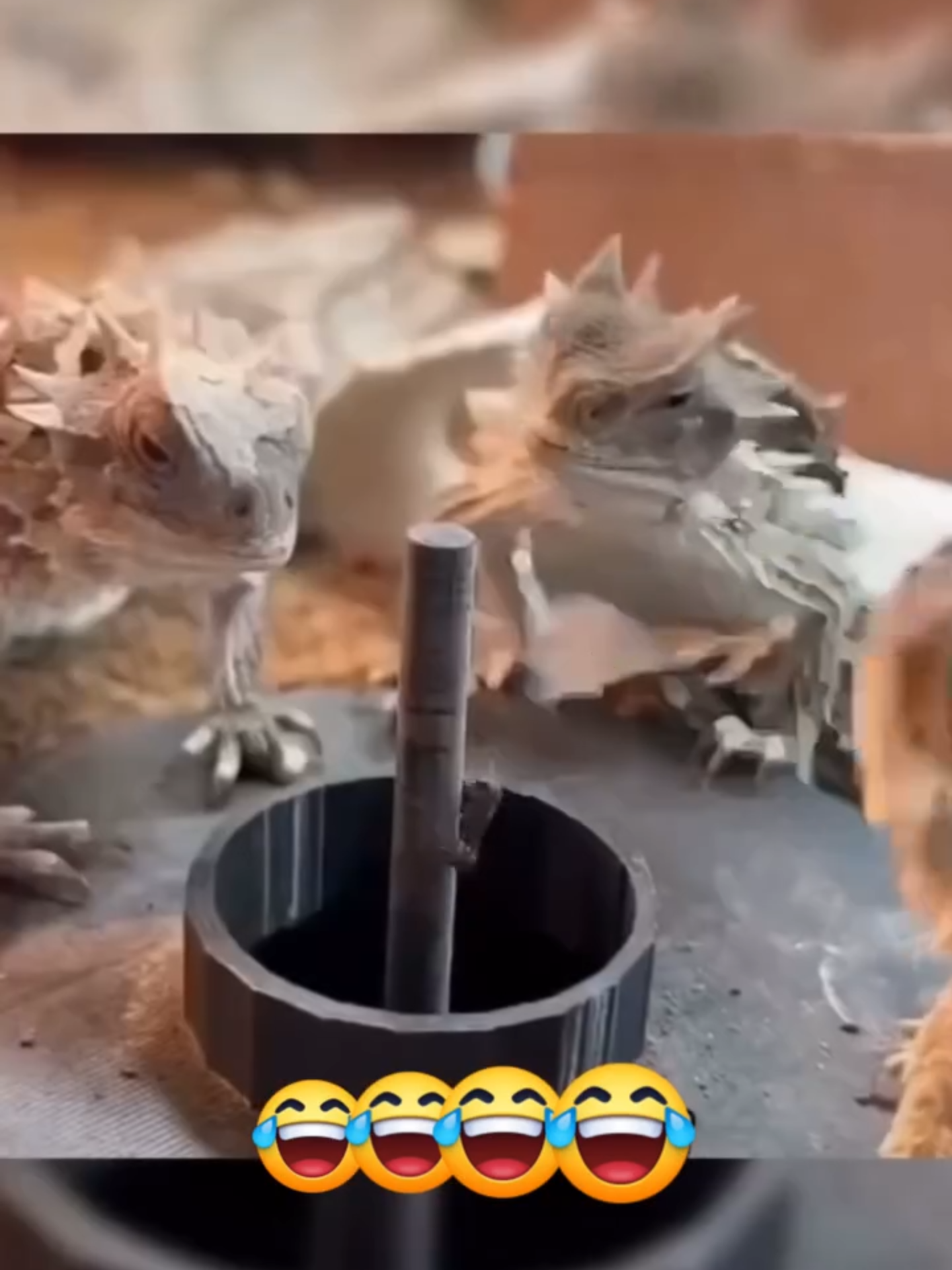 esta pra nois em meu chapa kkkkkkkkkkk #humor #fyp #vira #comedia #memestiktok #risa #trendingvideo #risas #viralvideos #funnyvideos😂 #humortiktok