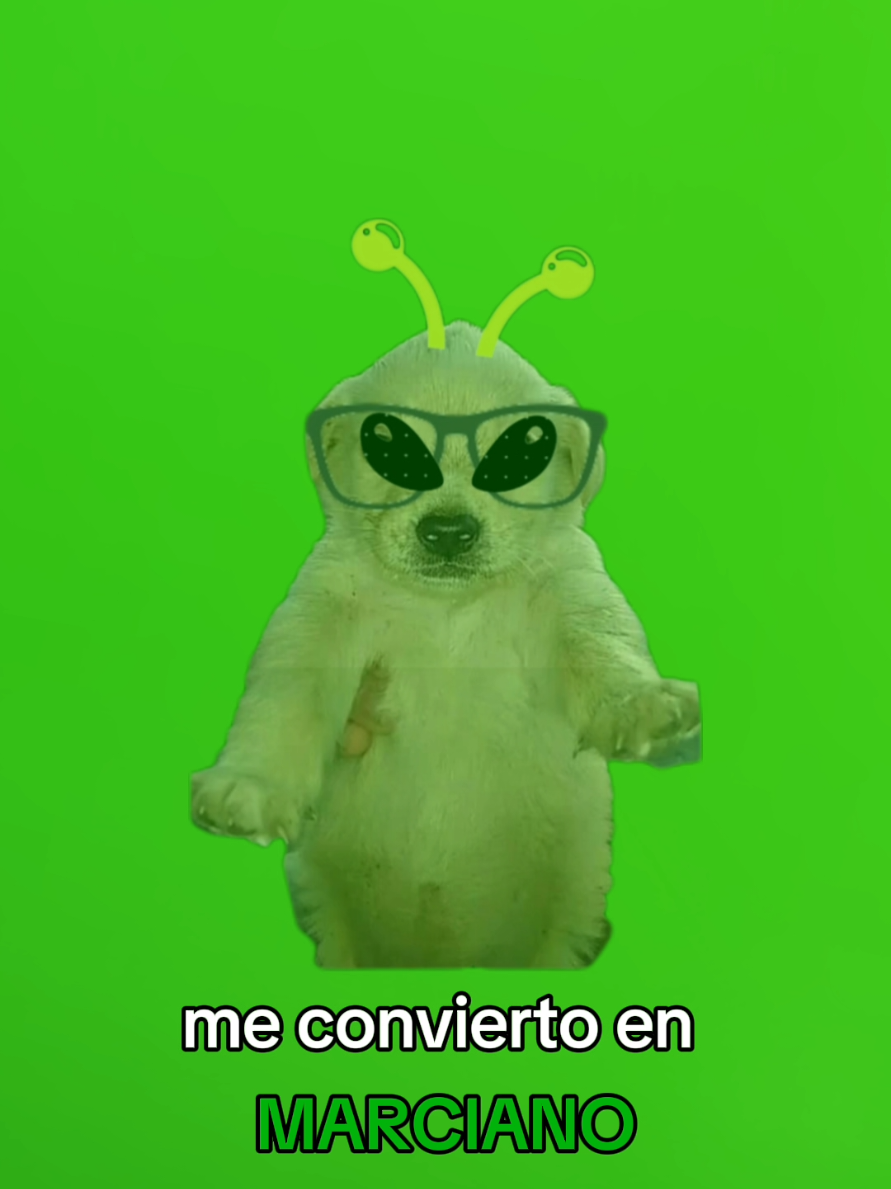ME CONVIERTO EN MARCIANO🗣️‼️‼️#alien #meconviertoenmarciano #aliens #perritosabelotodo 
