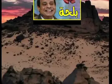 #CapCut #بلحه_مصر🇪🇬😍🌏  #بلحه_مصر  #مصر_العراق_السعودية_تونس_المغرب_الجزائر  #مصر_السعوديه_العراق_فلسطين  #سيسي_البلد⚔️🔥  #سيسي #חרירי_الحريري  #חרירי🦁  #