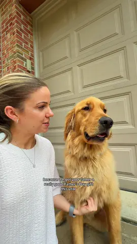 any guesses on what the Father’s Day gift is?? 👀 #FathersDay #dogdad #goldenretriever #dogoftheday #tiktokpets 