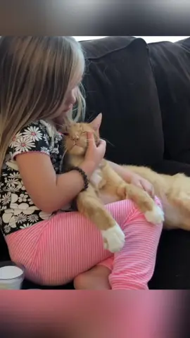 You raise me up #animals #storytime #catlover #foryou 