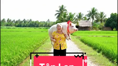 Lan dạo này ăn tốn quá, ai nuôi lan nói bà cho #lan #tenlan #trending #xuhuong #trieudevai #veo3 