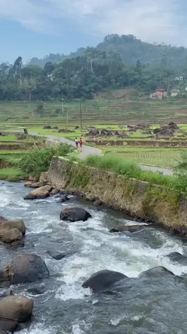 Adem kieu suasana di kampung teh baraya😇 #pedesaan #pesawahan #kampung #garutdelatan