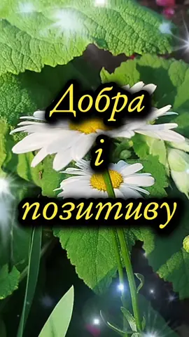 #доброгоранку #квіти🌺🌸🏵️ #літо #