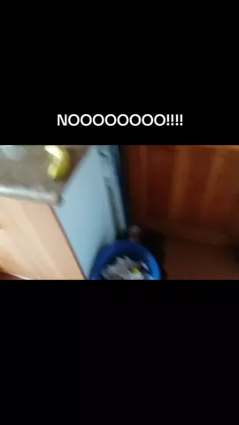 NOOOOO CANELITAAAAA!!!!! #fyp #viralvideos #vira 