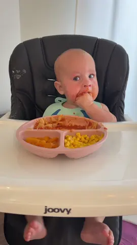 Yummyyyyy😍 #blw #babyledweaning #babieseating #babyfood #baby #mom #moms #momtok #MomsofTikTok 
