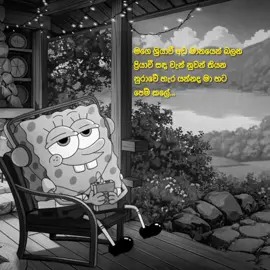 Wait for the රතු කම්මුල් drop! 🥹🙌 @Dilsara  #drop #slowed #fypシ゚ #viral #onemillionaudition #sinhala #song #feelings #status #video #tiktok #zackvibez 