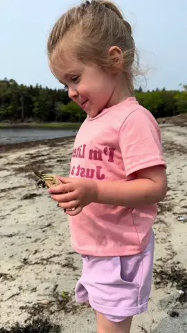 🤣🤣🤣 #baby #babiesoftiktok #funnybaby #cutebaby #hilarious #trynottolaugh #fyp 