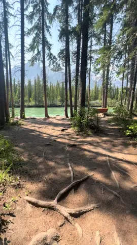 #canmore #rockymountains 