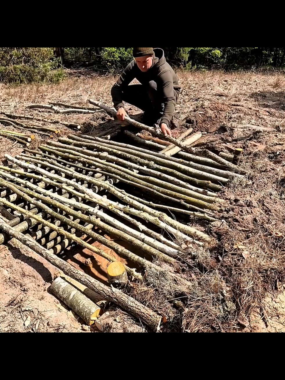 #survival #Outdoors #camping #bushcraft #shelter 
