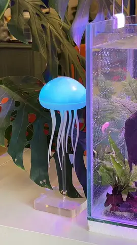 วางคู่กับตู้ปลาสวยมาก🩵 #callingbrown  #โคมไฟ #โคมไฟแต่งห้อง #jellyfish #โคมไฟjellyfish 