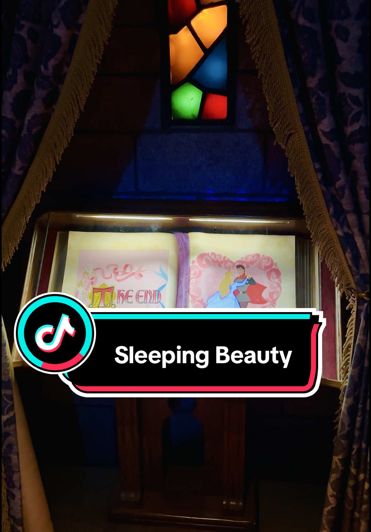 #disney#disneylandcastle#sleepingbeautycastle#sleepingbeauty#disneytok 