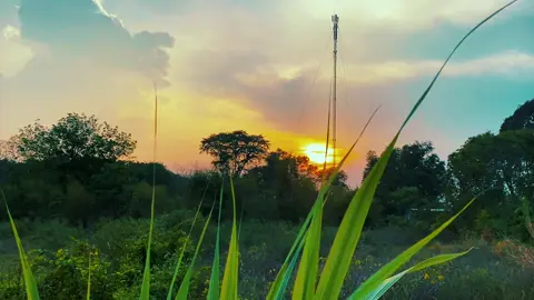 #CapCut Chill 1 video sunset . #capcutvntn #vibe #unityalanwalker #sunset #chill 