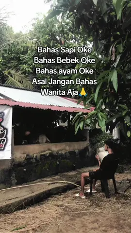 Soal wanita cukup 1,soal pengalaman harus lebih dari 1🫡@Yoga_ slebew 🕶 #peternak #peternakmuda #sapiqurban #pengusahamuda #bosmuda #juraganmuda#bisnis  #kembarfarm_padang🐄🦆🐔 #masukberanda #foryoupage #foryou #fyp 