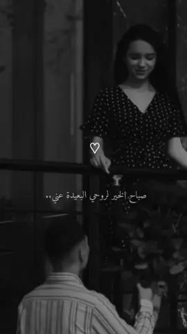 #صباح_الخير_لروحي_البعيدة_عني❤️#صباح_الخير #صباحكم_أحلى_صباح🌹🌹 #تصاميم_فيديوهات🎵🎤🎬 #مجرد________ذووووووق🎶🎵💞 #استوريات_متنوعه #شاشة_سوداء🖤 #fypシ゚viral🖤tiktok☆♡🦋myvideo #fypシ゚viral #vairal #meme #v #fypシ #🥀🖤 