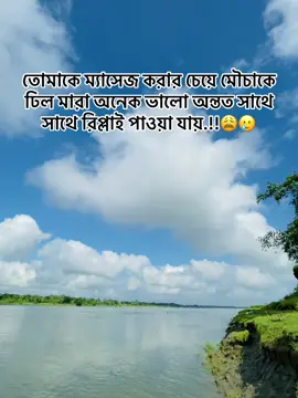 তোমাকে ম্যাসেজ করার চেয়ে মৌচাকে ঢিল মারা অনেক ভালো অন্তত সাথে সাথে রিপ্লাই পাওয়া যায়..!!😩🥲 #foryou #foryoupage #1m #view #bangladeshtiktok #tiktokofficialbangladesh #pfyyyyyyyyyyyyyyyyyyyyyyyyyyyyyyyy 