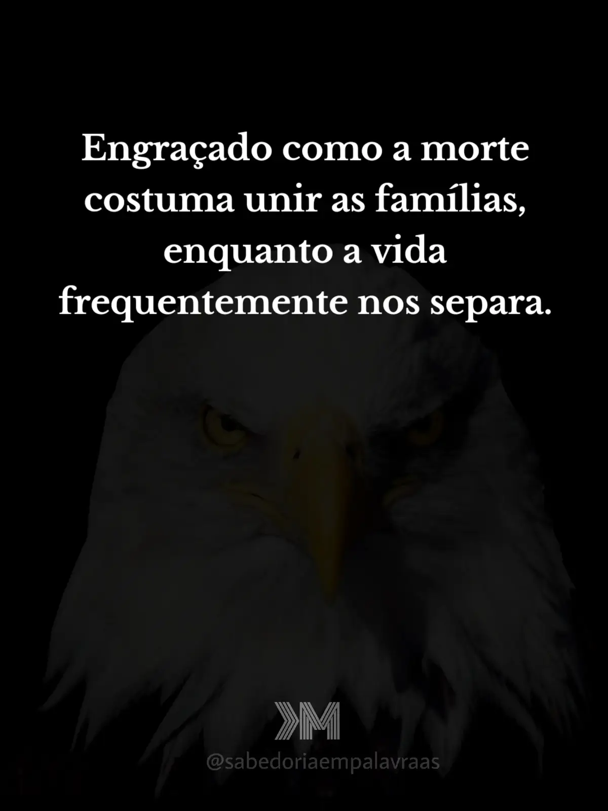 Curioso como a morte aproxima, e a vida afasta. Mas é só quando a perda chega que todo mundo aparece, que as mensagens vêm, que a família se encontra. Será que precisa acontecer o pior pra lembrar do que importa? #reflexão #motivacaodiaria 