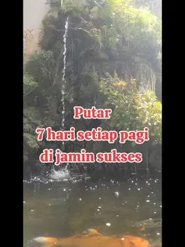 #masteranburungmurai #masteran #masteranburung  #cililin #cigun #suaraalam #smm #muraibatuindonesia #anismerah #burungmasteran 