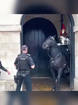 The royal guard’s horses are a little restless #kingsguard #thekingsguard #royalguard #horse #tourist 