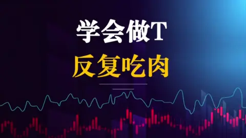 一個視頻教你做T，每天都能吃到肉#財經 #股市 #台股 #股民 #股民交流 #乾貨分享 #交易 #tiktoktaiwan