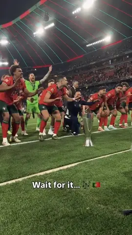 Portugal squid X free from desire song celebration 🇵🇹🐐🔥✨️ 🙌 #foryoupage #greatersearchinsightscongratulations #foryoupage #GOAT #cr7 #NationsLeagueChampion 