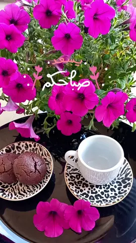 صباحكم فيروزي  #صباح_الخير #صباح_الورد #صباحكم_أحلى_صباح #قهوتي #فيروز #foryou #your_coffee #اغاني_الزمن_الجميل #جيل_الطيبين #يما_الحلو_ناسي_الهوى_يما♥️✨ 