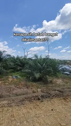 💃💃 #fyp #anakrantau #kalimantan 