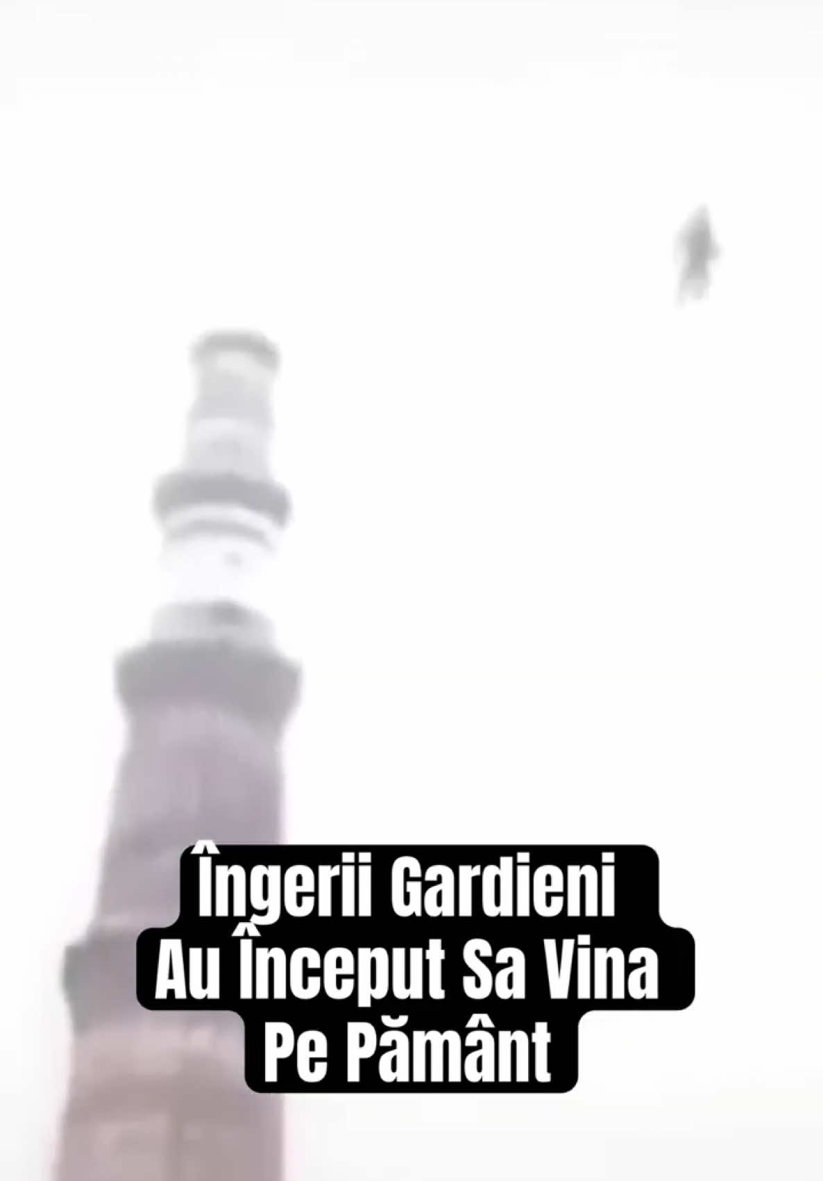 Au Început Sa Apăra Pe Pământ ! Oare De Ce ?😰✝️#adevaruriascunse #adevarurisecrete #stiri #ingeri #ingeripierduti #dumenzeu #dumnezeuteiubeste #documentare #romania🇷🇴 #tuneluri #fypromania #parinteleelpidie #trinitas 