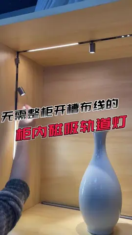 有沒有見過這樣磁吸安裝的櫃子燈 裝上後效果這麽好 小小一個 安裝便捷 #磁吸軌道燈#櫃體燈光#小射燈#旋轉小射燈#迷妳磁吸軌道燈