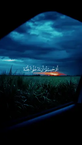 أجمل من قراءة سورة: ال عمران للقارئ: حسين الغرباوي 🖤🎧  #قران  #quran_alkarim #اكتب_شي_توجر_عليه 
